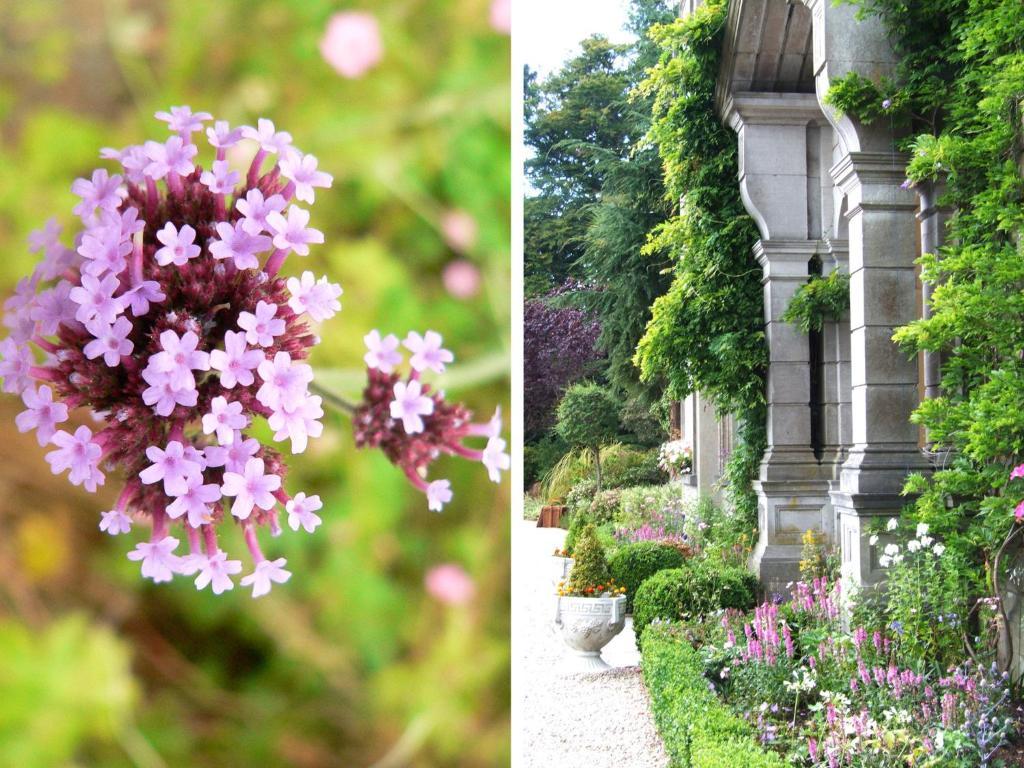 Tinakilly Country House Hotel Rathnew Dış mekan fotoğraf
